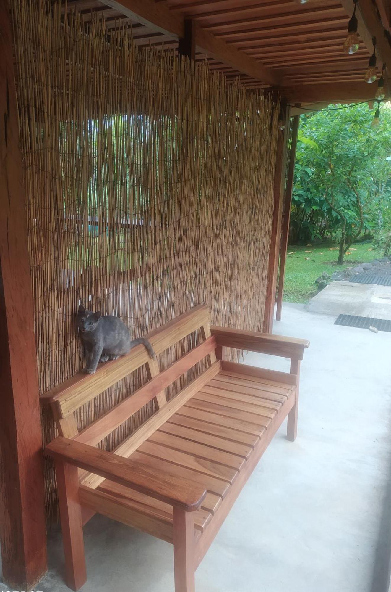 Mineral River Eco Village Upala Exterior photo